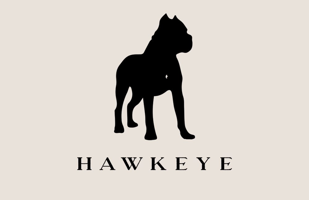 Portfolio Gallery - Hawkeye Identity