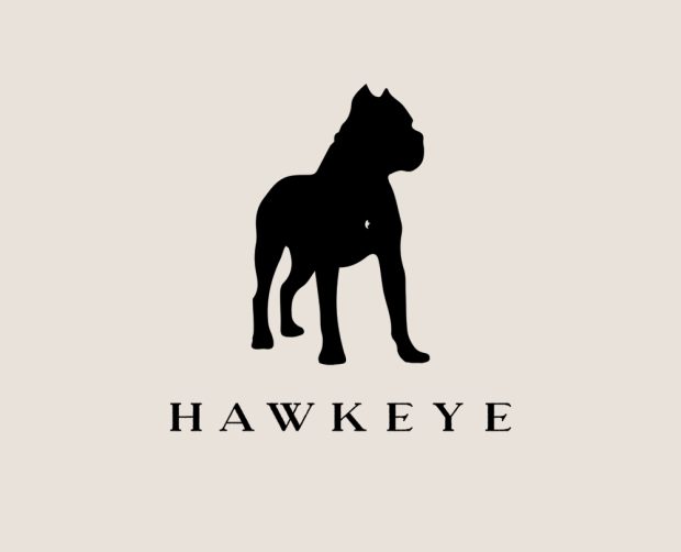 Portfolio Gallery - Hawkeye Identity