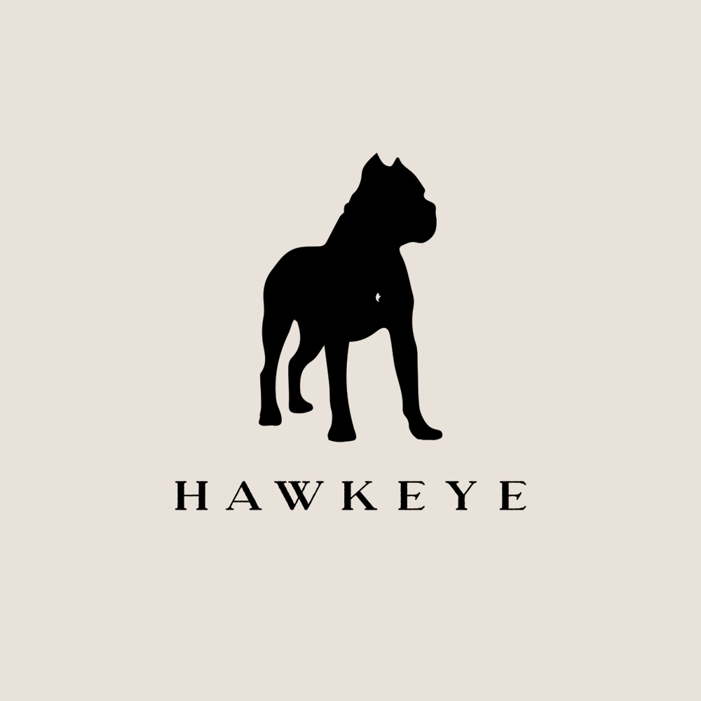 Portfolio Gallery - Hawkeye Identity